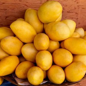 Mangoes