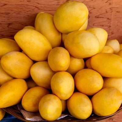 Mangoes