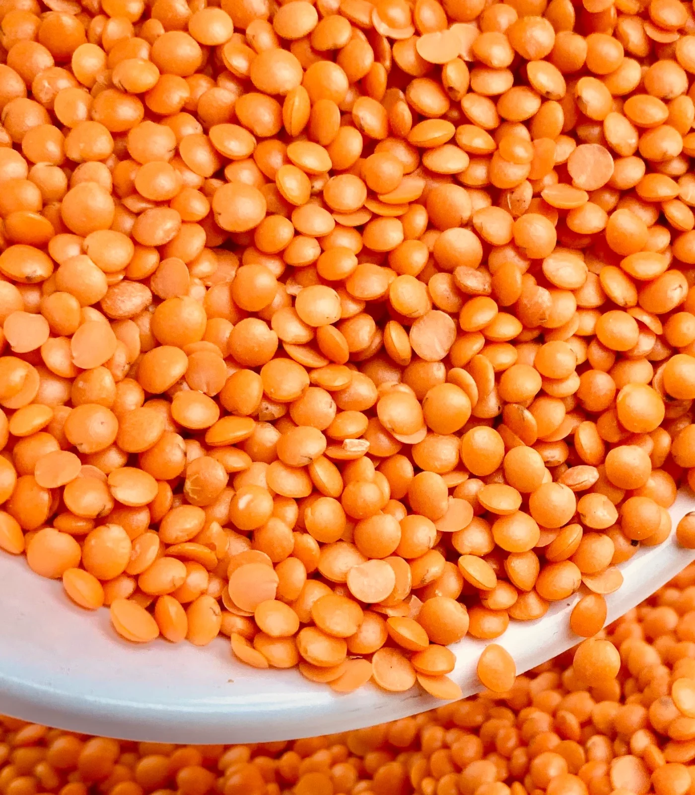 Masoor Dal