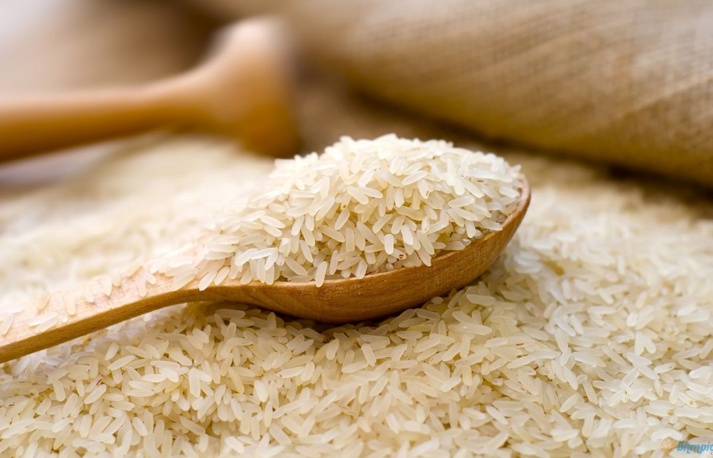 Salem-ponny-rice