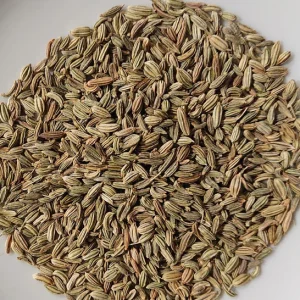 Fennel Seeds
